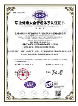 職業(yè)健康安全管理體系認(rèn)證證書(shū)